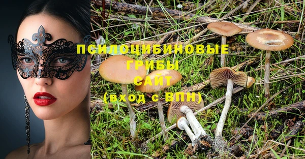 МДПВ Алзамай